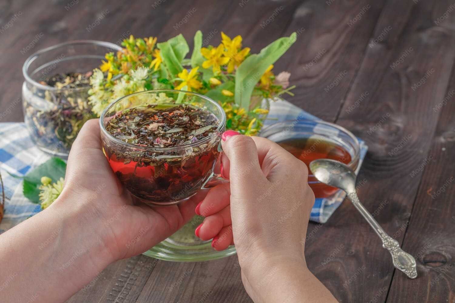 Why Do Health-Conscious People Prefer the Best Herbal Tea for Good Health in Ghaziabad at Go Sowa?