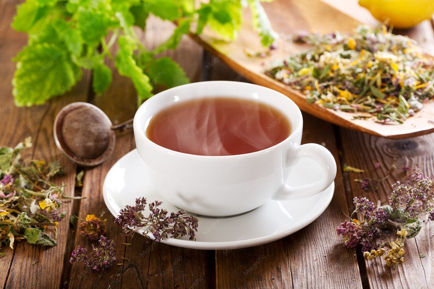What Are the Benefits of Anti Ageing Infusion at Go Sowa Indirapuram?